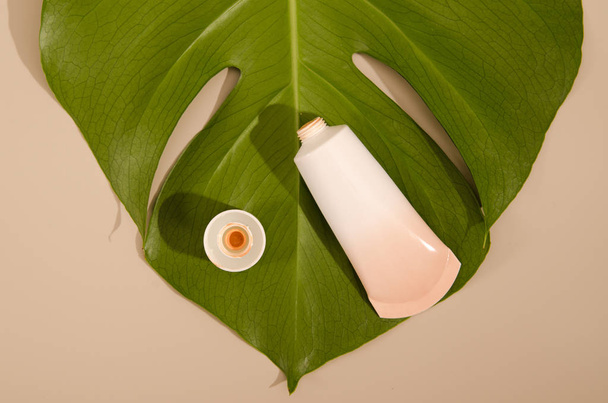 Beige tube with makeup foundation cream and green leaf of home plant on beige background. Minimalistic photograph for your design - Фото, изображение