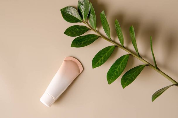 Beige tube with makeup foundation cream and green leaf of home plant on beige background. Minimalistic photograph for your design - Foto, Imagem