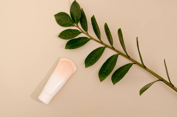 Beige tube with makeup foundation cream and green leaf of home plant on beige background. Minimalistic photograph for your design - Фото, зображення