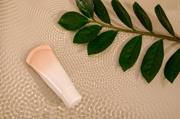 beige tube with makeup foundation cream and green leaf of home plant on water background with little waves - Foto, afbeelding