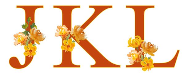 Font letter J K L typography alphabet. Watercolor hand drawn illustration warm orange florals flowers leaves of loose form nature plants elegant botanical design. Wedding cards invitation logo. Retro - Photo, Image