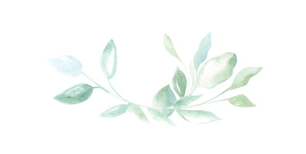 Ilustración de acuarela dibujo elementos decorativos de plantas verdes y hojas en forma de marcos sobre un fondo blanco aislado
. - Foto, Imagen