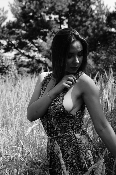 Portrait of an young beautiful sexy woman on the nature. - Zdjęcie, obraz