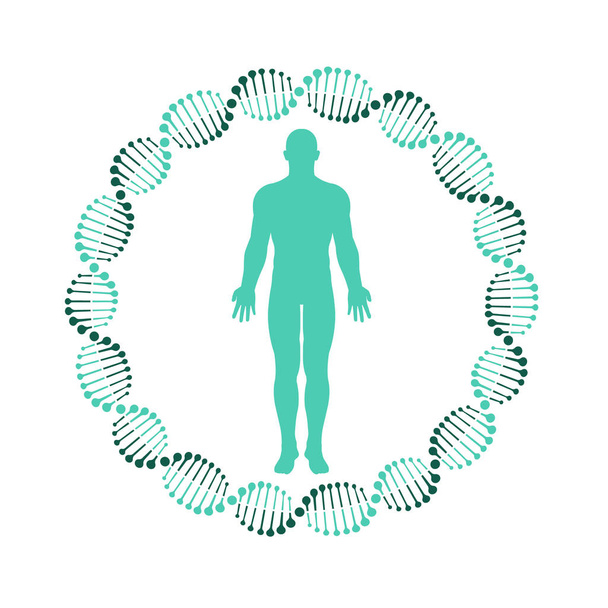 Ilustracja wektorowa DNA i ludzkiego ciała. Płaska konstrukcja. Izolacja. - Wektor, obraz