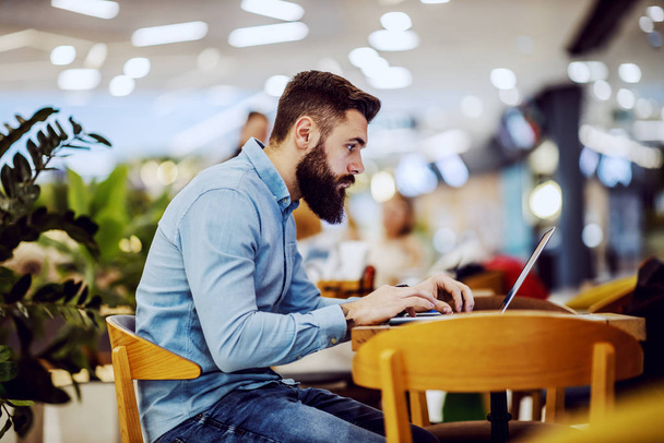 Vista lateral do belo hipster barbudo sentado na cafeteria e surfando na internet através do laptop
. - Foto, Imagem