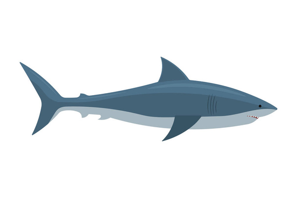 Ilustración vectorial del tiburón. Diseño plano. Aislado
. - Vector, imagen