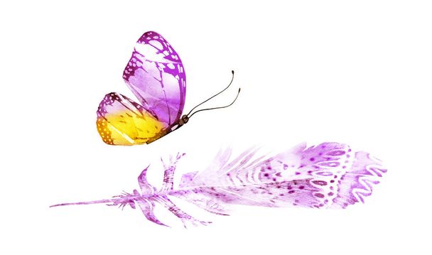 Watercolor feathers with butterfly, isolated on white background - Photo, image