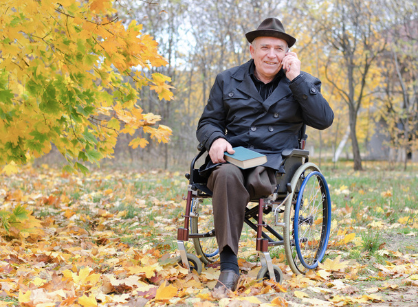 Elderly disabled man in a wheelchair in a park - Photo, Image