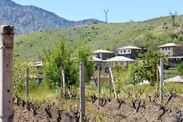 Célèbre village viticole d'Areni, Arménie
 - Photo, image