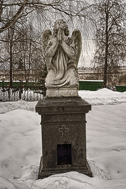 bidden engel - Foto, afbeelding