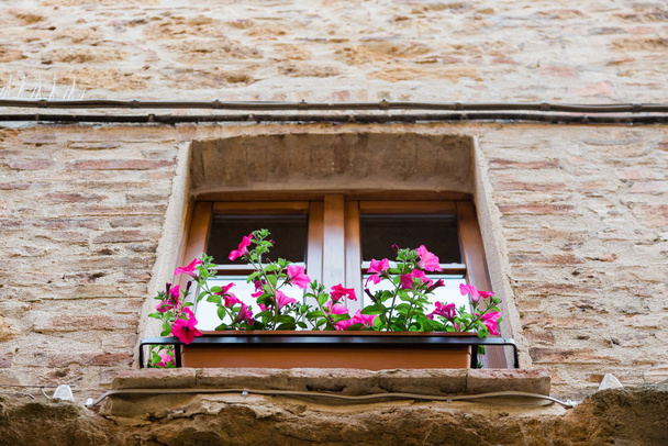 Прекрасні рожеві квіти на вікні сільського будинку в Італії. - Фото, зображення