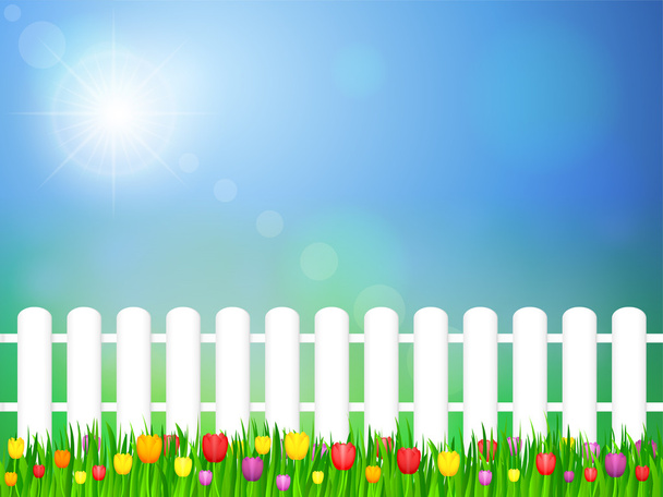 landscape with tulips - Vector, Image