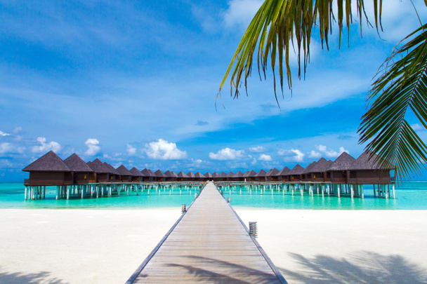 tropischer Strand auf den Malediven mit wenigen Palmen und blauer Lagune - Foto, Bild
