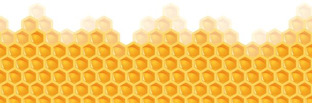 naadloze honing kam achtergrond - Vector, afbeelding