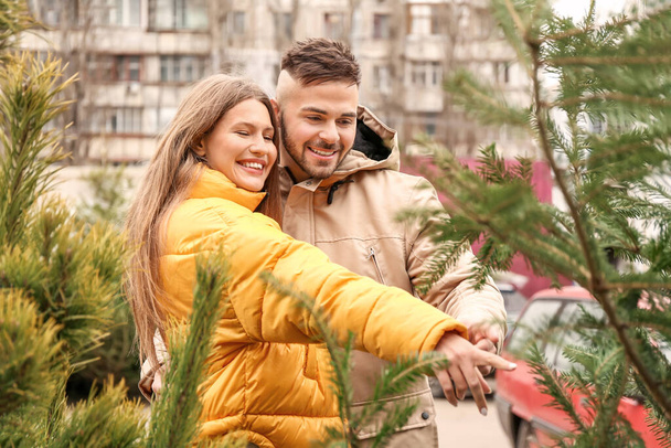 Jeune couple achetant un sapin de Noël au marché
 - Photo, image