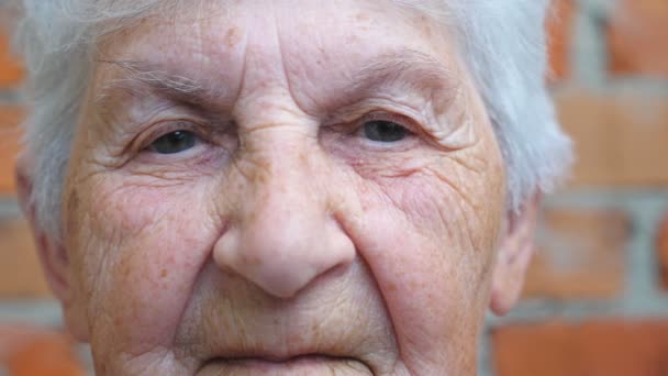 Portret van een oudere vrouw met grijs haar die in de camera kijkt. Detail zicht op gerimpelde vrouwelijke gezicht met ernstige pensive zicht. Verdriet gezichtsuitdrukking van oma. Langzame beweging Close-up - Video