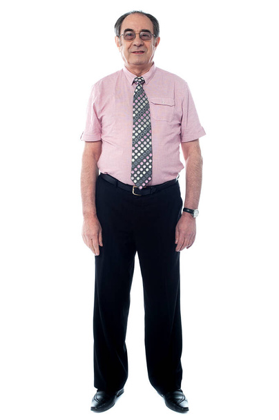 Smiling aged professional businessperson standing, full length portrait - Foto, immagini