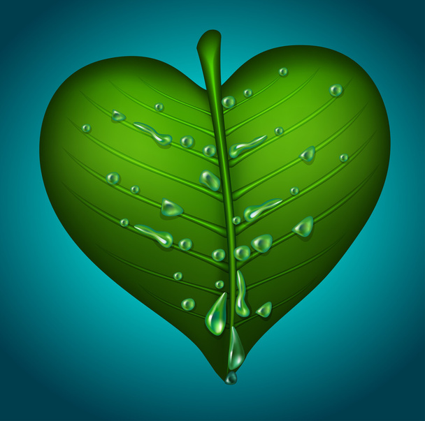 Leaf icon - Vector, Imagen
