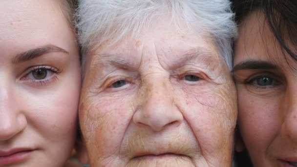 Portret starszej kobiety z córką i wnuczką patrzących razem w kamerę. Trzy kobiece twarze. Powolny ruch Zamknij - Materiał filmowy, wideo