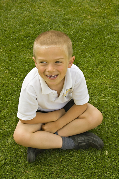 Lindo niño de seis siete años sentado en la hierba
 - Foto, Imagen