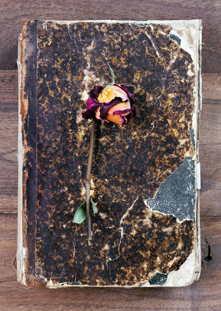 dry roses on an old vintage book. top view. copy spaces - Photo, Image