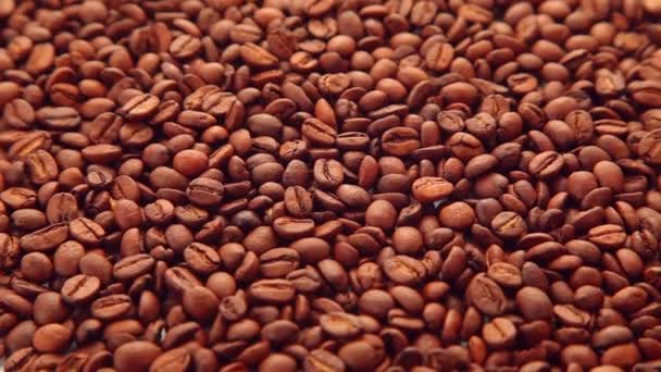 Coffee beans background - Materiał filmowy, wideo