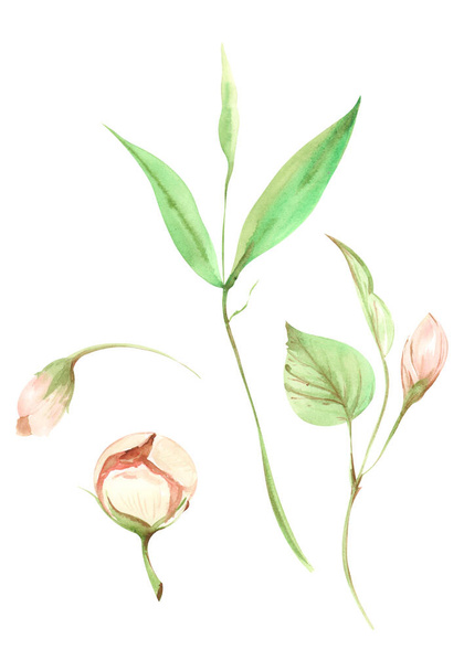 Ilustração da pintura aquarela de flores de frutas de pêssego rosa com folhas verdes em um ramo em um fundo branco isolado
 - Foto, Imagem