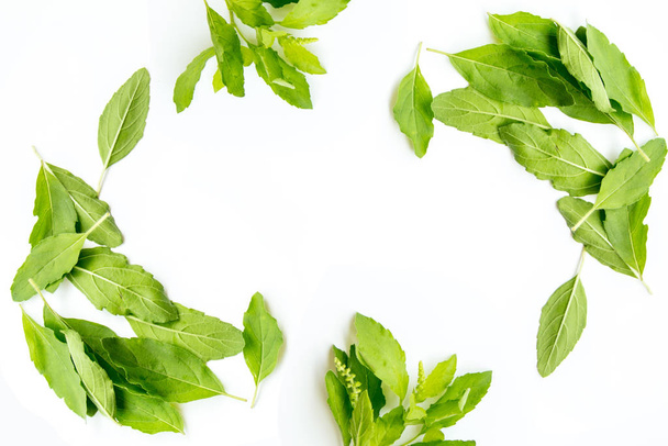 basilicum blad op witte kleur ontwerp voor voedsel achtergrond - Foto, afbeelding