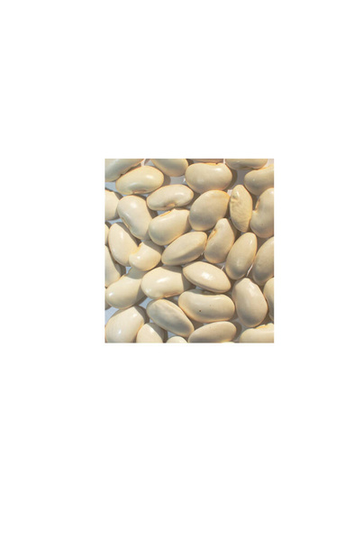 haricots blancs en vrac
 - Photo, image