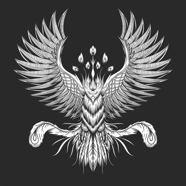 Phoenix Bird vector illustration - Vektör, Görsel