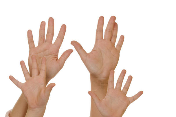 two pairs of hands held up in front of white background. - Fotografie, Obrázek