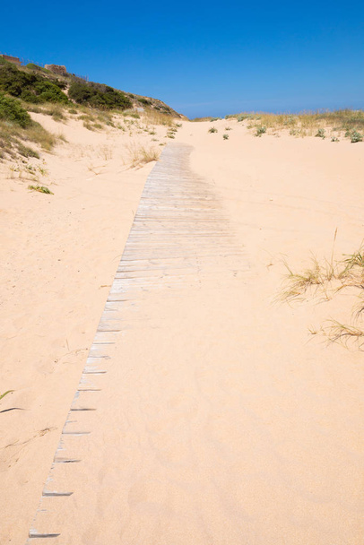 дерев "яна стежка на піщаному пляжі в Трафальгарському мисі. - Фото, зображення