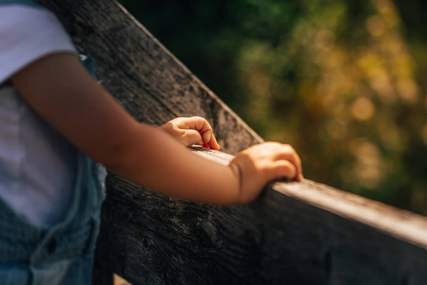 Hands of a little child standing on a wooden bridge on a sunny summer day. - Фото, изображение