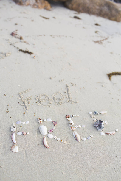 The word feel free, written with shells in the sand on a beach in thailand, koh samui - Фото, зображення