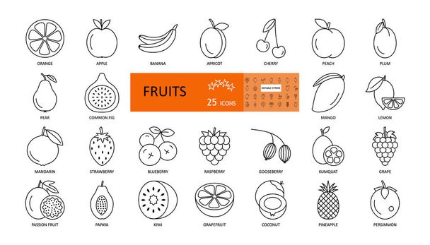 Meyve ve çilek. Düzenlenebilir vuruşlu ince vektör simgeleri. Elma, portakal, kayısı, şeftali, kivi, papaya, çilek, üzüm, mango, hurma ve diğerleri. Düz Çizim. - Vektör, Görsel