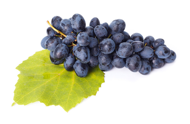 Single blue grape cluster on leaf - Photo, Image