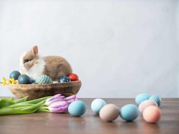 Paskalya tavşanı sepetinde renkli yumurtalar ve ahşap masada laleler. Paskalya bayramı süslemeleri, Paskalya konsepti. - Fotoğraf, Görsel
