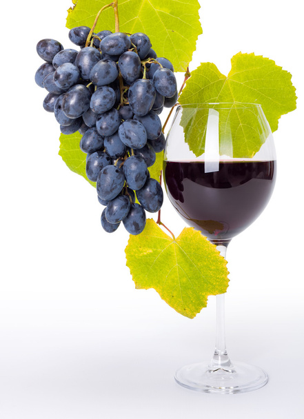 Glass of red wine with blue grape cluster - Φωτογραφία, εικόνα