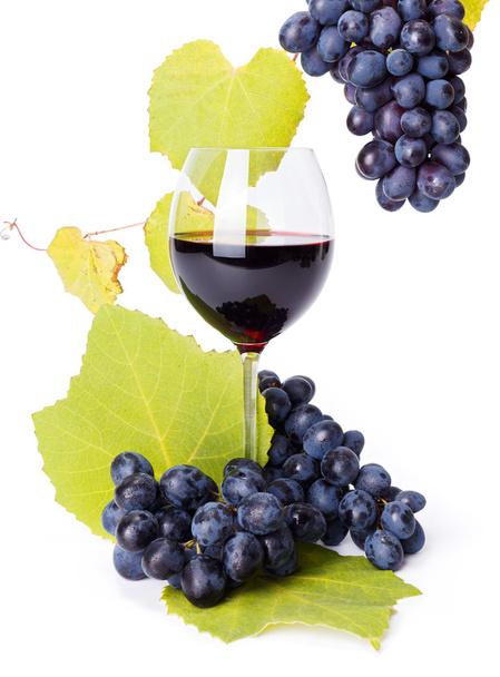 Glass of red wine with blue grape clusters - Фото, изображение