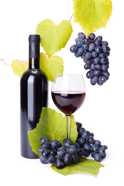 Bottle and glass of red wine whit grape clusters - Фото, изображение