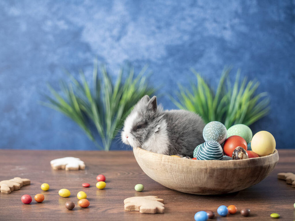 Пасхальный кролик в корзине с красочными яйцами, конфетками и тюльпанами на деревянном столе. Пасхальные украшения, Пасха концепция фона
. - Фото, изображение