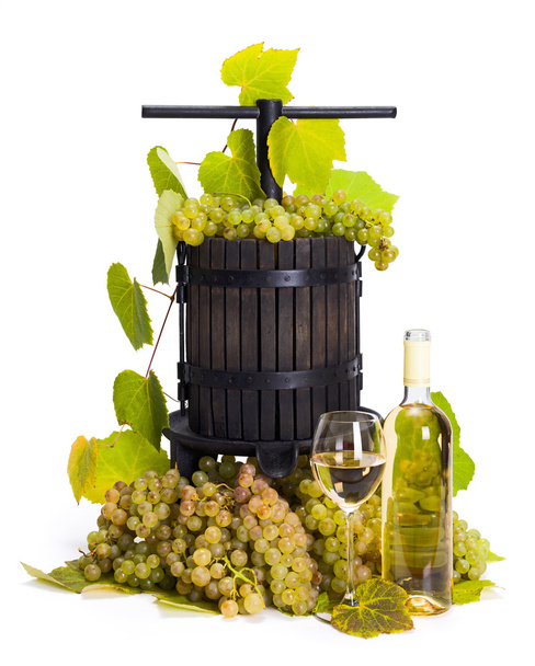 Manual grape pressing utensil with white wine - Φωτογραφία, εικόνα