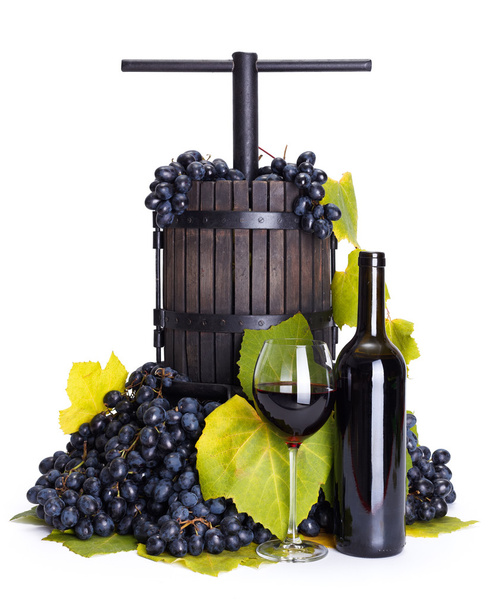 Manual grape pressing utensil with red wine - Foto, imagen
