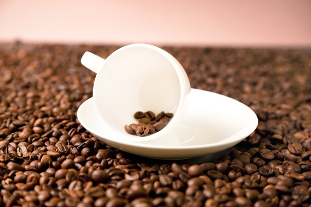 新鮮なコーヒー豆 - 写真・画像