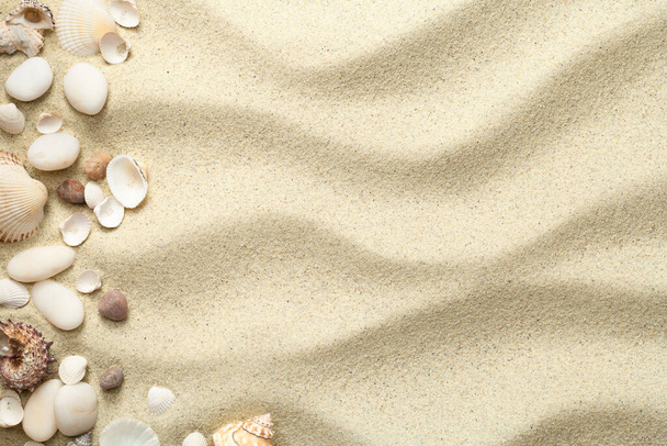 písek, plážové zázemí s mušlemi a kameny. kopírovat prostor. pohled shora - Fotografie, Obrázek