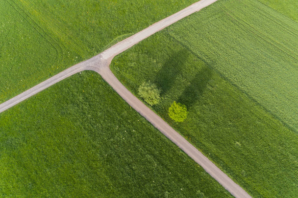 aerial view over meadows in spring - Fotoğraf, Görsel