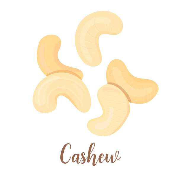 Vector group of cashew nuts isolated on white background Abstract vector illustration whole ripe white and brown cashew nuts, For tag, label, food design, logo, cooking, cosmetics, menu, health care - Фото, изображение