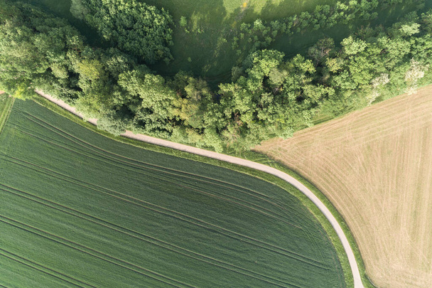 aerial view of meadows,fields and forest in glemstal - Foto, Bild