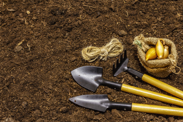 土壌の背景に庭のツール。植物ケアの概念。シャベルと熊手、糸、タマネギ - 写真・画像