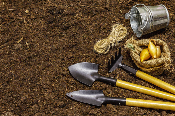 Garden tools on soil background. Plant care concept. Shovels and rake, bucket, thread, onion - Foto, Bild